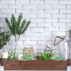 Kisangel Large Rectangular Carbonized Wood Planter Box for Indoor and Outdoor Succulents with Drainage Hole, Rustic Wooden Window Sill Flower Pot for Balcony Gardening - Image 4