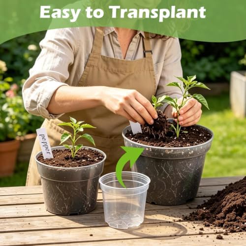 RooTrimmer 15 Pack 8/6/4 Inch Clear Nursery Pots with Drainage Hole, Transparent Plastic Plant pots, Sturdy Planting Starter Pots for Seedlings Herbs Flowers Vegetable (Clear-15P) - Image 5