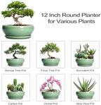 SQOWL Succulent Planter 12 Inch, Ceramic Bonsai Pots with Saucer, Green - Image 7