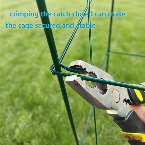 2 Pack 12x39 Inch High Green Folding Square Tomato Cages - Image 7