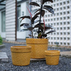 9 Inch Handmade Ceramic Planters Set of 3, 15/12/9 Inch, Antique Yellow by Noeko
