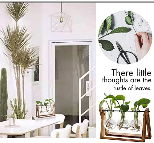 XXXFLOWER Plant Terrarium with Wooden Stand - 3 Bulb Vase + Glass Plant Mister Spray Bottle for Indoor Plant Spritzer - Image 6
