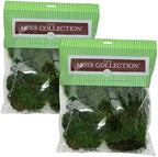 Mood Moss, Preserved Moss, Green, Medium 2-Pack by QualityGrowers