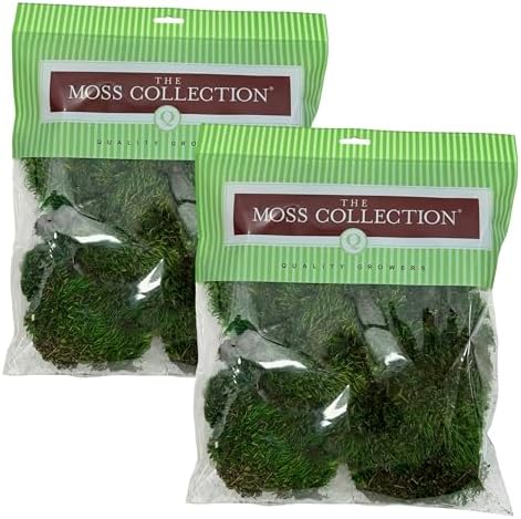 Mood Moss, Preserved Moss, Green, Medium 2-Pack by QualityGrowers