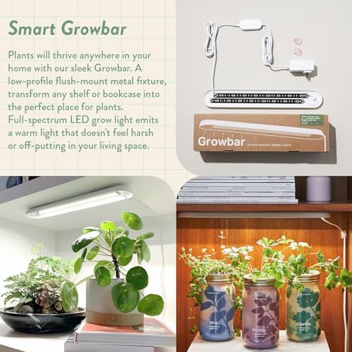 Modern Sprout Garden Jars + Smart Growbar Bundle- Basil, Rosemary & Parsley - Image 5