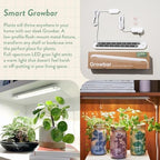Modern Sprout Garden Jars + Smart Growbar Bundle- Basil, Rosemary & Parsley - Image 5