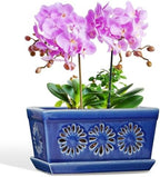 EFISPSS 10 Inch Orchid Pot, Ceramic Orchid Pots with Holes, Indoor Flower pots with Drainage and Saucer, Plant Pots Enhance Good Ventilation - Blue - Image 2