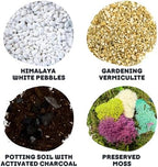 Cute Farms Terrarium Starter Kit | Moss, Vermiculite, Soil, Pebbles, Plant Food, & Finishing Tools (Large Kit + Crystals) - Image 3
