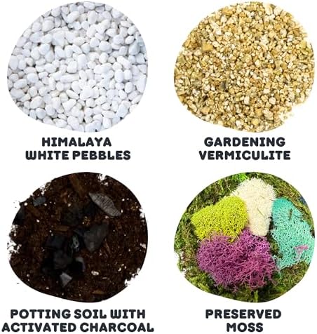 Cute Farms Terrarium Starter Kit | Moss, Vermiculite, Soil, Pebbles, Plant Food, & Finishing Tools (Large Kit + Crystals) - Image 3