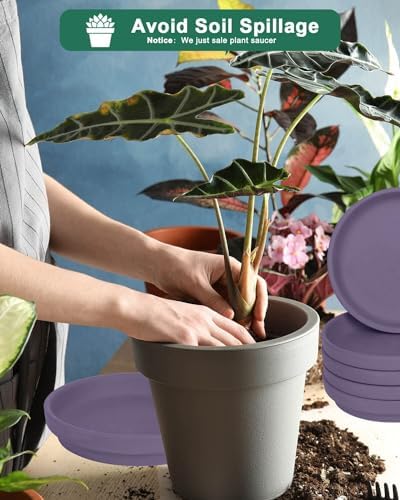 vensovo 8 Inch Purple Terracotta Plant Saucer Pots Tray - 4 Pcs Round Planter Saucers for Indoor & Outdoor Plants, Large Clay Trays Perfect for 7 Inch 7.5 Inch 8 Inch Flower Pot - Image 4