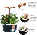Veritable Exky Smart Indoor Garden, Black Copper - Image 2