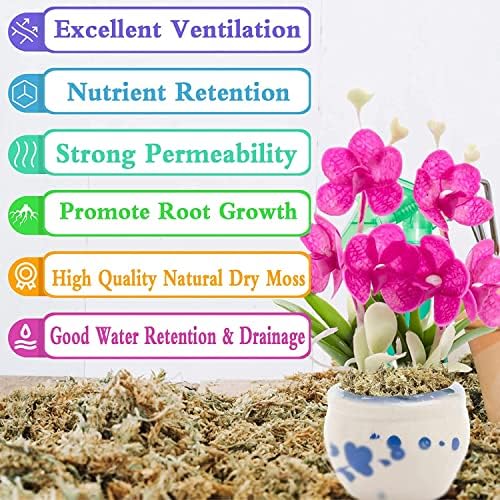 Legigo 2.2LB Sphagnum Moss for Plants- 40QT Natural Long Fibers Orchid Moss - Image 3