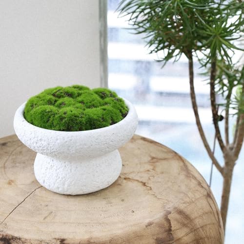 6'' Handmade Cement Bowl–Artificial Moss Centerpiece for Home Decoration - Image 4