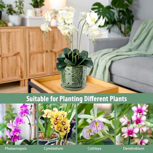 EFISPSS Orchid Pots with Holes, 7 Inch Orchid Pots with Drainage Holes and Tray, Indoor or Outdoor Large Pot for Orchid Care,Durable for Repotting or New Plants - Green - Image 6