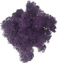200g Artificial Moss for Crafts, Faux Decorative Plant for DIY Walls Wedding Party Table Centerpieces Home, Dark Purple by LKXHarleya