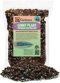 Premium Monstera Ginny Soil Blend - Specially Designed to Meet Your Plant's Unique Needs by Gardenera - 4 Quart by Gardenera