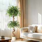 Artificial Plants Indoor,5FT Tall Faux Olive Tree with Includes Black Tall Planter,Indoor Artificial Plant for Home Office Living Room Decor. by Klysiora