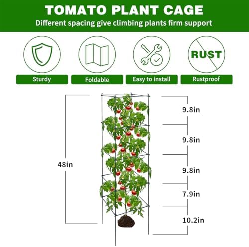6 Packs Tomato Cages for Garden, 12"×12"×48" Plant Support Cage with Different Spacing, Green Metal Trellis for Climbing Plants Like Cucumber, Flowers - Image 2