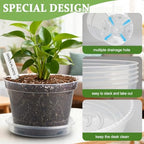 10/8/6 Inch Clear Plant Pots with Drainage Hole 12 Pack, Transparent Sturdy Plastic Nursery Pots with Saucers, Plant Label, Gardening Gloves, Plant Starter Pots for Planting Seed Herb Vegetable Flower - Image 3