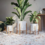 EverNest Tristan Bohemian White and Black Planter with Kinsley Stand, SelectBase Decorative Planter Pots, Contemporary, Eclectic Boho Style Indoor Plant Pots (Small, 1 Gallon) - Image 6