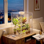 Novabright Mini Greenhouse Indoor with Grow Light Clear Acrylic Plant Cabinet, Tabletop Indoor Greenhouse Kit DUSB White & Warm Light for Succulents, Herbs(with Dividers) - Image 5