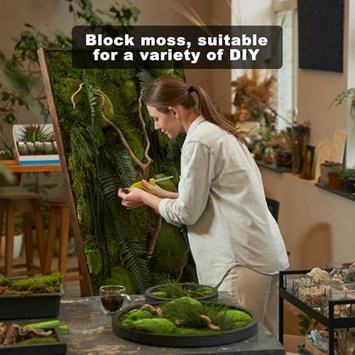 TurelinnG Preserved Moss Decor - Real Forest Moss, Moss for Crafts, Flexible for DIY Crafts, Home, Wall, Terrarium, Art Projects(Natural Green 2 sq.ft) - Image 4