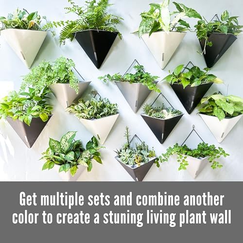 LaLaGreen Bundle- 2 Pack, 12 Inch White Geometric Self Watering Pot + 7 Pack, Small Medium Large Planter Rectangular Window Plastic Boxes Plant Herb Flower Holder Modern Stylish Hanging Indoor Decor - Image 5