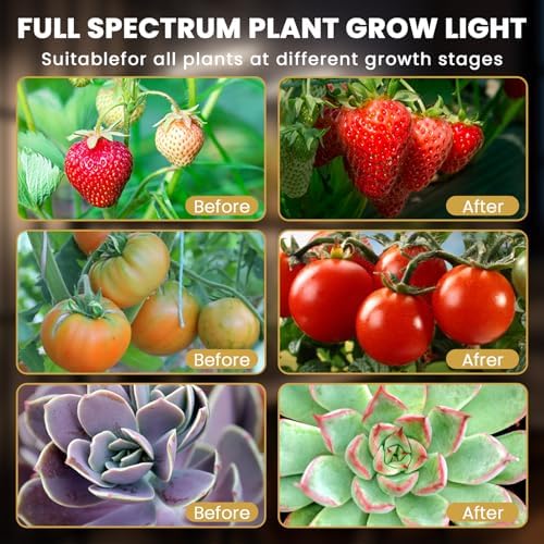 Plant Light Grow Light for Indoor Plants 2 Pack, Full Spectrum Indoor Grow Lamp, 10-Level Dimmable and Auto ON & Off Timer - Image 5