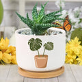 DreamAutumn Pack of 3 Plants Planter Ceramic Round Plant Pots with Drainage Holes and Bamboo Tray Planting Small Flower Pots for Home Windowsill Desk Garden Indoor Outdoor Use by DreamAutumn