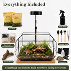 Luckyrunes Complete Glass Terrarium Kit with Live Moss, Rectangle - Image 2