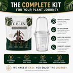 Alocasia Polly Pink Variegated, Complete Tissue Culture Kit – Live Alocasia Plant, Rare Indoor Houseplant - Image 3