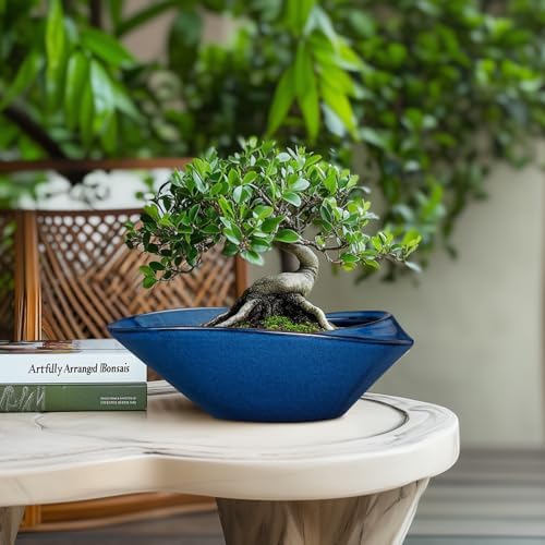 Bonsai Tree Pot - Ceramic Planter Pot with Drainage Hole 12 Inch Bonsai Pots Decorative Orchid Succulent Plant Pots for Indoor Outdoor Plants Blue - Image 2