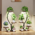 BACEKOLL Plant Stand Indoor with Grow Lights - 2 Pack Plant Shelf, Lighted Corner Plant Stands for Indoor Growing, 4 Tiered Metal Flower Holder, S-Shaped Decorative Shelves for Home, Hallway, Black by BACEKOLL