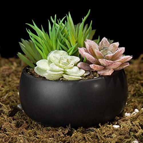MyGift Mini Assorted Artificial Succulent Plants Black Ceramic Planter Bowl - Image 2