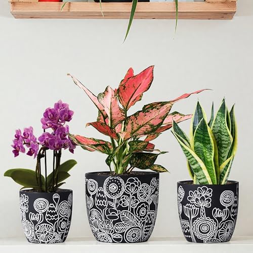 Terracotta Pots, 6.5+5+4.4 Inch Plant Pots with Drainage Hole- Floral Pattern, Black Boho Ceramic Planters for Indoor Plants, Flower Pots Indoor Succulents, Herbs Plants,Set of 3 - Image 2
