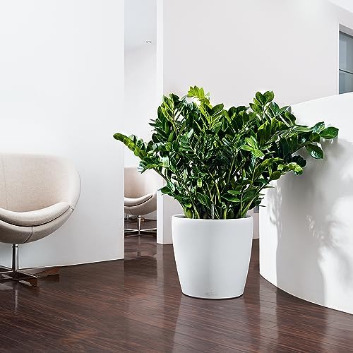 Lechuza 13210 Classico 35 Self-Watering Planter for Indoor and Outdoor Use, 14" x 14" x 13", White Matte - Image 6