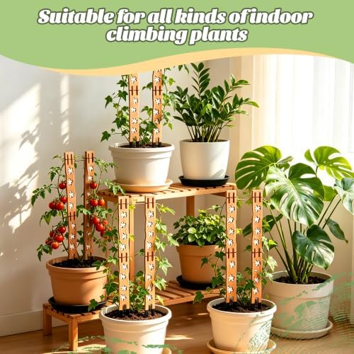 4 Set Flower Cutout Wooden Extendable Plant Trellis, Modular Plant Trellis for Climbing Plants, Stackable Plant Support Stakes with Base and Extensions, for Ivy, Hoya, Vines and Houseplants - Image 6