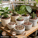 44lb Mix Lava Rocks for Plants 1/8" Horticultural Pumice for Plants, Succulent Cactus Soil Potting Mix - Horticultural Sand Aquarium Gravel Drainage Rocks for Potted Plant, Bonsai Soil, Top Dressing - Image 2