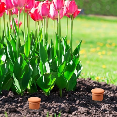 Large 10×6×6inch Terra Cotta Watering Pots 110oz Terra Cotta Watering Terracotta Watering Spikes Self Watering Planter Watering Pot with Lid for Outdoor & Indoor Plants - Image 4