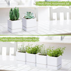 D'vine Dev 4-Pack Plastic Herb Planter Pots, 4 in, White, 76-Y-A4-1 - Image 4