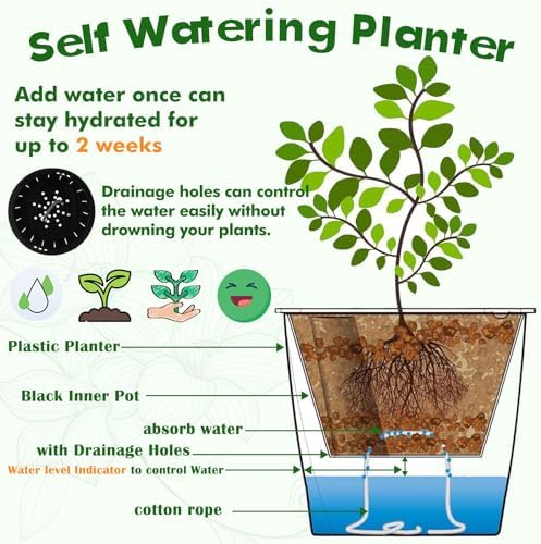Planterhoma 5 Inch Self Watering Pots for Indoor Plants, 12 Packs African Violet Pots with Indicator, Black Wick Pot with Drainage Holes, Self Watering Planters for Orchid, Devil's Ivy, White - Image 7