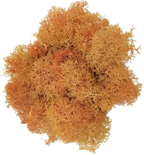 500g Artificial Moss for Crafts, Faux Decorative Plant for DIY Walls Wedding Party Table Centerpieces Home, Orange by LKXHarleya