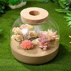 iplusmile Glass Plant Terrarium Jar, Tabletop Succulent Bubble Planter with Cork Lid, Open Mouth Round Fish Bowl Vase Sealed Glass Bottles Vial for Home Decor - Image 3