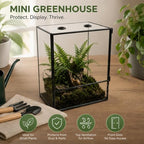 ZMG Glass Terrarium Front Door Top Vents, Rectangular Snail Habitat Planter - Image 5