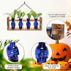 Plant Propagation Stations Halloween Skull Plant Terrarium Kit - Image 3