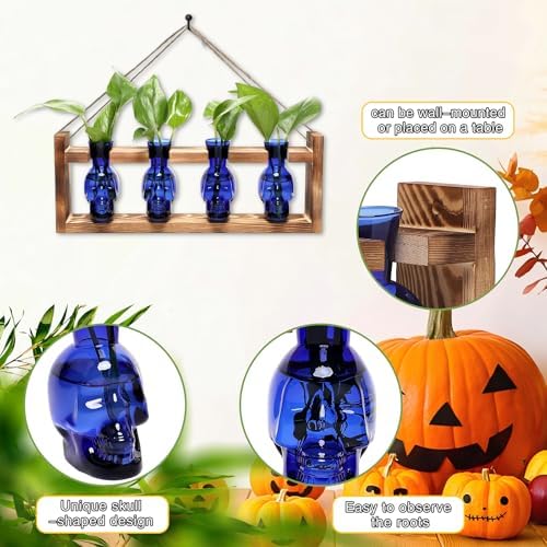 Plant Propagation Stations Halloween Skull Plant Terrarium Kit - Image 3