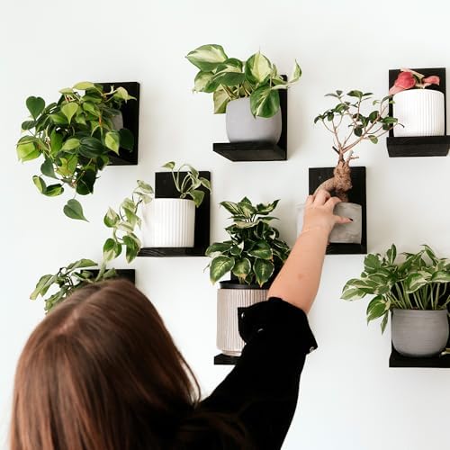 Daniel's Plants 3 Pack Mid-Century Modern L Shaped Wooden Plant Shelf Kit | Wall Mounted Floating Shelves | Solid Wood Wall Planter Shelf | Midnight Black - Image 4