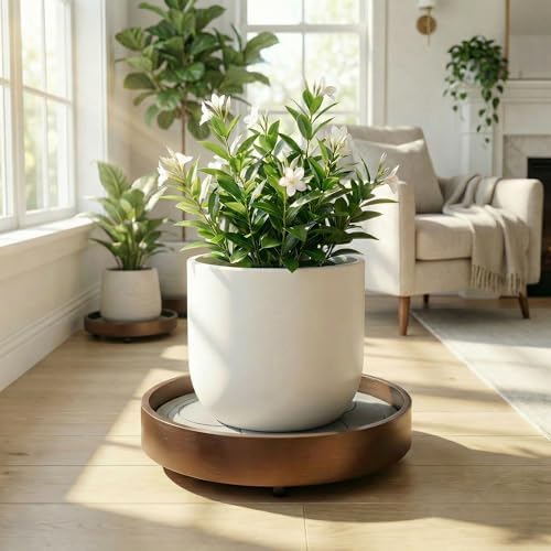 Plant Caddy with Wheels Indoor – Bamboo Rolling Plant Stand with Absorbent Stone, No Water Stains, 360° Wheels, Floor Protection Plant Tray for Heavy Pots - Image 5