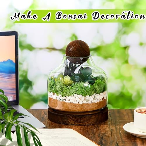 2 Pcs Glass Terrarium Container with Wooden Base and Decorative Ball Lid, 7 Inch DIY Terrarium Jar for Moss, Ferns, Air Plants and Succulents, Mini Indoor Garden Vase for Home Office Desk Decor - Image 4