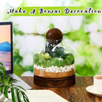 2 Pcs Glass Terrarium Container with Wooden Base and Decorative Ball Lid, 7 Inch DIY Terrarium Jar for Moss, Ferns, Air Plants and Succulents, Mini Indoor Garden Vase for Home Office Desk Decor - Image 4